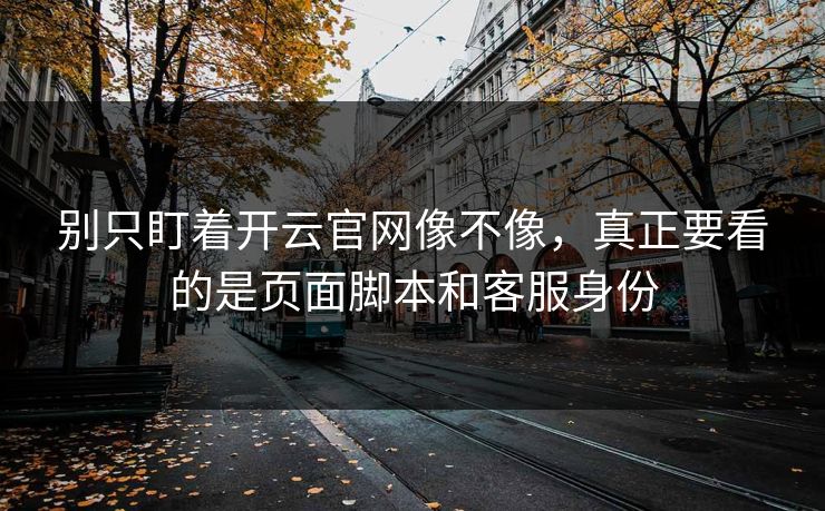 别只盯着开云官网像不像，真正要看的是页面脚本和客服身份