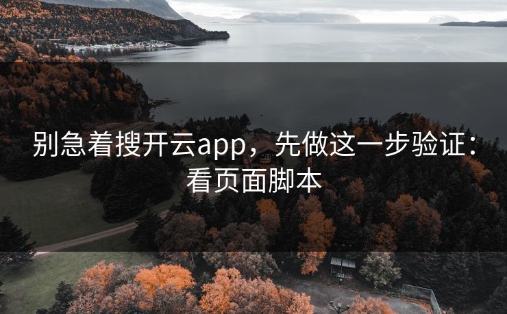 别急着搜开云app，先做这一步验证：看页面脚本