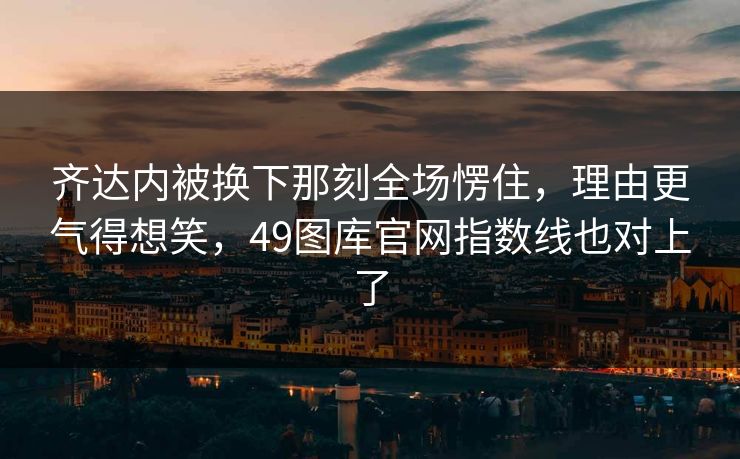 齐达内被换下那刻全场愣住，理由更气得想笑，49图库官网指数线也对上了